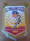 GAGLIARDETTO CALCIO PRO SALERNO