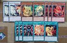 Deck Tenpai Dragon YuGiOh