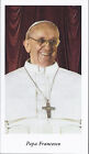 PAPA FRANCESCO - SANTINO - AS013-035 - Egim