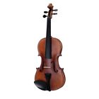 VIOLINO SOUNDSATION  VIRTUOSO PRO  VPVI-12