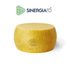 Parmigiano Reggiano Forma Formaggio da esposizione  SinergiaFD