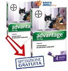 Bayer Advantage 80 mg per GATTI oltre 4 kg - 4 pipette - Anche per CONIGLI