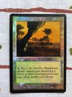 Windswept Heath - Magic the Gathering - MTG - Onslaught FOIL