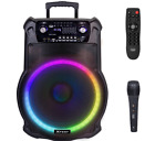 Cassa bluetooth portatile amplificata attiva KARAOKE altoparlante con microfono