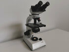 microscope - WILL Wetzlar - laboratory microscope – Labormikroskop