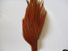 genetic brown cock neck quarter metz hackle feathers fly tying materials