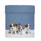 JACK - Quilt copriletto trapuntato coperta una piazza cane Bassetti Imagine