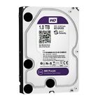 HARD DISK 3,5 WESTERN DIGITAL PURPLE 1TB SATA3 64MB WD10PURX VIDEOSORVEGLIANZA