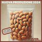 1kg Mandorle Siciliane Sgusciate crude NUOVE 2024 busta salva aroma Frutta secca