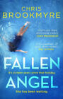 Fallen Angel by Brookmyre, Chris