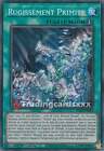 Yu-Gi-Oh! Rugissement Primite : SR ROTA-FR059