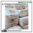 KIT COLTIVAZIONE FUNGHI CARDONCELLI PANI DI FUNGO CARDONCELLO SUBSTRATO TERRICCI