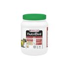 PAPPA DA IMBECCO PAPPAGALLI NUTRIBIRD A 21 800gr