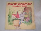 45 giri vinile David gnomo amico mio