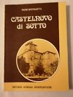 CASTELNOVO DI SOTTO NOTIZIE STORICO URBANISTICHE - AGIDE BERTOLOTTI