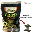 TERRICCIO SUBSTRATO PER BONSAI AKADAMA GIAPPO 2,5 L - ALFE