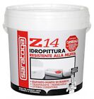 Pittura antimuffa SARATOGA Z14 idropittura funghalt lt.4