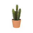 Pianta cactus artificiale con vaso 30 cm verde Complementi d arredo