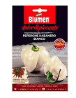 BLUMEN DOLCE & PICCANTE SEMI DI PEPERONE HABANERO BIANCO estremamente piccante