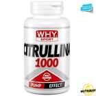 WHY SPORT CITRULLINA 1000 - 90 cpr