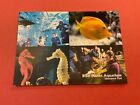 blue planet aquarium ellesmere port postcard