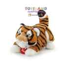 TIGRE BRUCE S (27136)