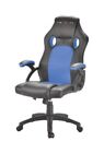 RACING GAMING SEAT BLUE EDITION Accessori