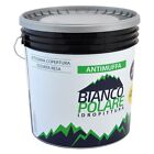 PITTURA AL QUARZO ACRILICO ANTIMUFFA lt 4