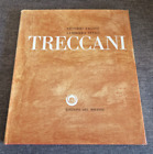 Ernesto Treccani