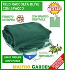 RETE TELO RACCOLTA OLIVE-NOCCIOLE ANTISPINA CON SPACCO OCCHIELLATO RINFORZATO