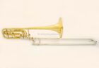 Mario Corso trombone basso 2040