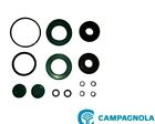 KIT GUARNIZIONI COMPLETO ABBACCHIATORE CAMPAGNOLA TUONO DIABLO GOLIA PACK.0619