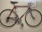 Colnago Mexico Campagnolo 50th vintage Replica Saronni 1982 Biciccletta rara