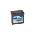 Batteria 12V - Exide Bike GEL - 14 Ah - 150 A