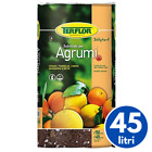 Terflor TERRICCIO TORBA PER AGRUMI LIMONI ARANCE PIANTE SUBSTRATO 45 Litri