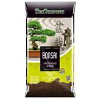 Terriccio Specifico per Bonsai 10 lt Alta Qualità  TERCOMPOSTI