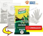 VigorPlant Terriccio CACTACEE → 20 Lt - per Coltivazione Piante Grasse, Cactus