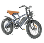 Electric Bike Janobike X50 48V 14Ah Mountain Bike Fat Tire Bicycle  20" E-Bike