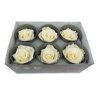 6 ROSE STABILIZZATE DA 6 CM ADDOBBI NATURALI WEDDING