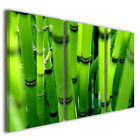 Stampe su tela canvas Bambù verde arredamento etnico quadri moderni