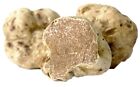 tartufo fresco bianco 100GR.