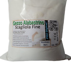 ALABASTRINO Gesso Scagliola FINE per Uso Stampi a freddo  Gesso Alabastrino 1 KG