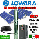 Pompa sommersa Lowara Solare Kit solare Pannello Inverter Control HP1 HP1,5 HP2