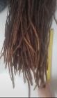 Dreadlocks Extensions Capelli Real Veri Rasta