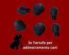 3X FINTO TARTUFO PER DA ADDESTRAMENTO CANI OVETTO PER OLIO ESSENZIALE TARTUFI