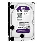 HARD DISK 3,5 WESTERN DIGITAL PURPLE 2TB SATA3 64MB WD20PURX VIDEOSORVEGLIANZA