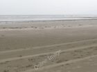 Photo 6x4 Tyrella Beach ://delamontcountrypark/index.php?opti c2012