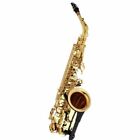 Selmer sax alto Axos Laccato