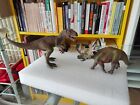 Schleich 14580 ALLOSAURUS + Schleich 15033 STYRACOSAURUS  SET DINOSAURI SCONTATI