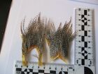 whitings and metz midge grizzle cape tops ties smallest neck hackle x 2 pieces